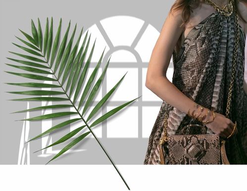 女星同款竟顯胖，胖太太服飾為何持續走紅？